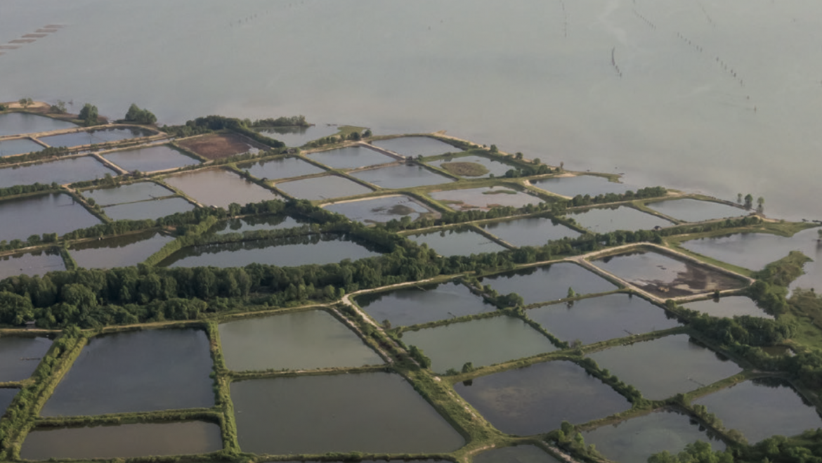 AQUACULTURE MAGAZINE